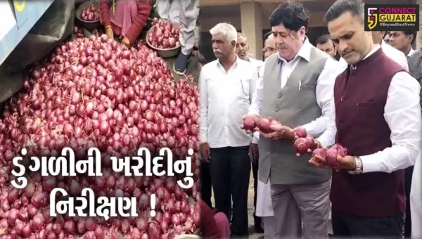 અમરેલી:ખાંભા APMC સેન્ટરમાં નાફેડના ચેરમેન દિલીપ સંઘાણી દ્વારા કરવામાં આવ્યુ નિરીક્ષણ
