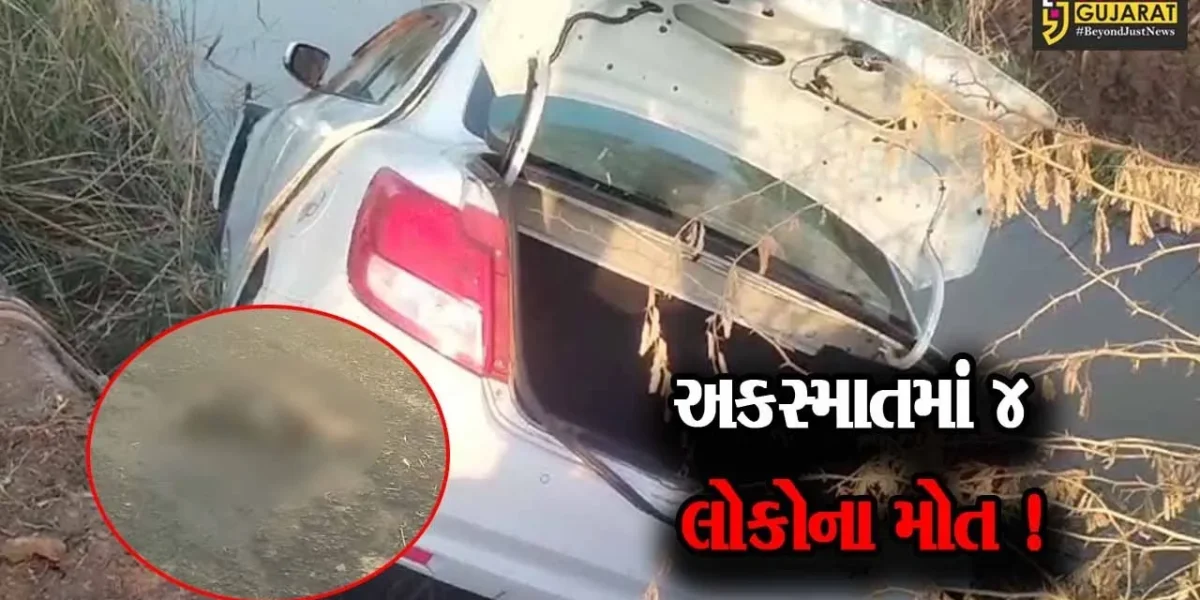 પાટણ: સાંતલપૂર નજીક કાર પાણી ભરેલા ખાડામાં ખાબકતા ચાર લોકોના મોત,પરિવારમાં ગમનો માહોલ