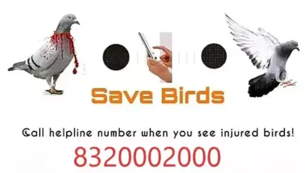 ભરૂચ: ઉતરાયણમાં ઘાયલ પશુ-પક્ષીઓને સારવાર માટે તંત્ર સજજ,આવતીકાલથી કરૂણા અભિયાનનો પ્રારંભ.