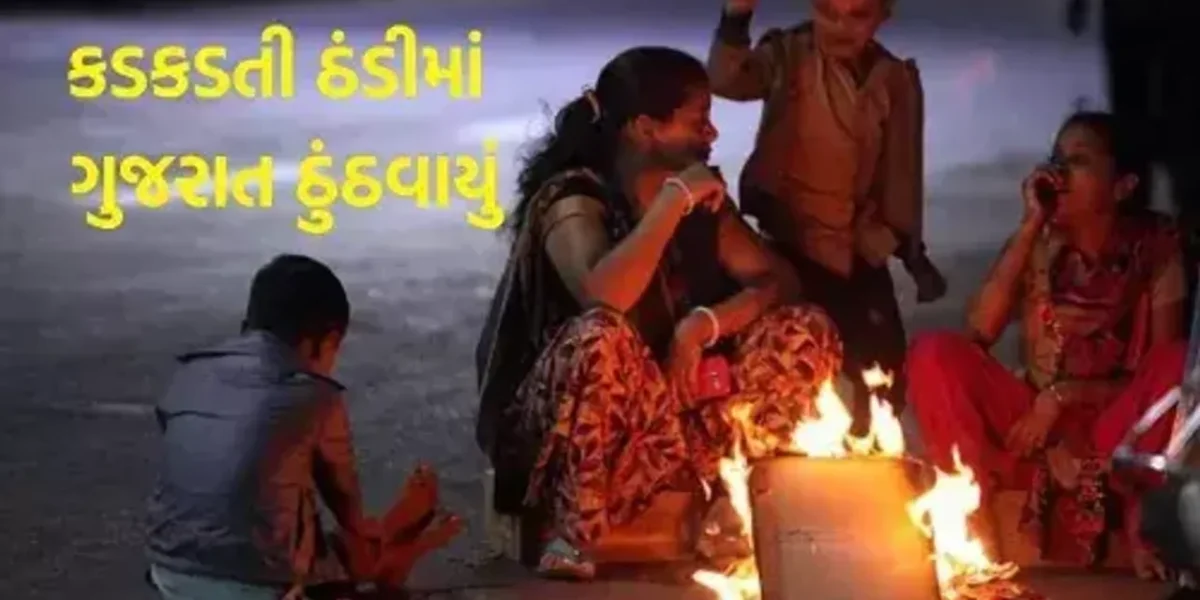 ગુજરાતમાં ઠંડીનો ચમકારો યથાવત: 8 ડિગ્રી સાથે નવસારી સૌથી ઠંડુગાર