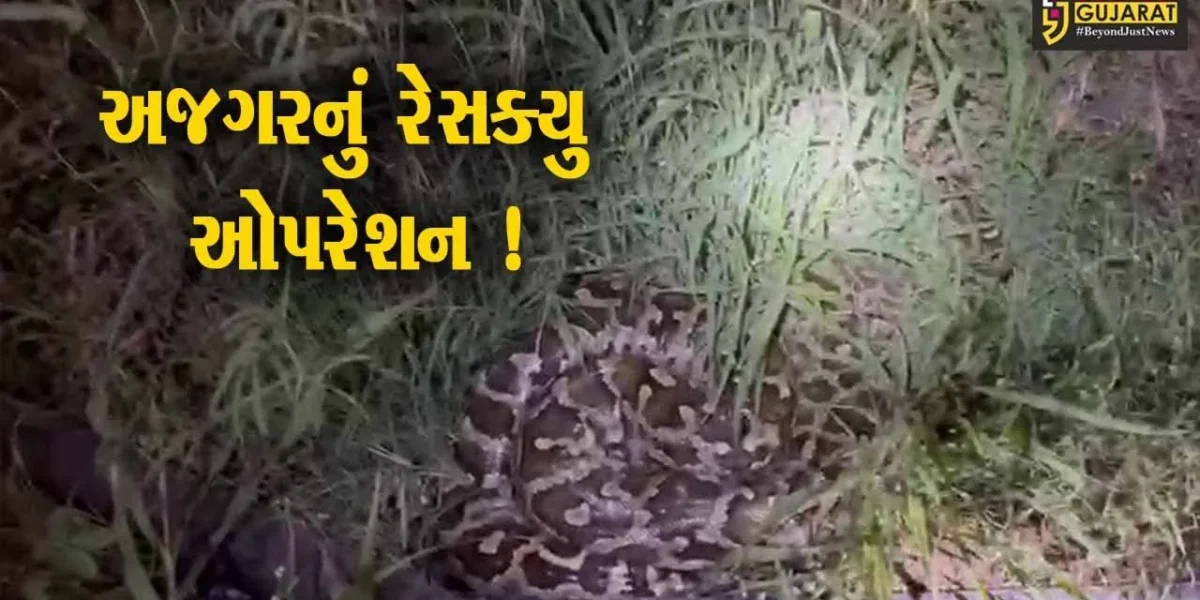 ભાવનગર:મહાકાય અજગરે દેખા દેતા ગ્રામજનોમાં ફફડાટ,વનવિભાગને જાણ કરવામાં આવી