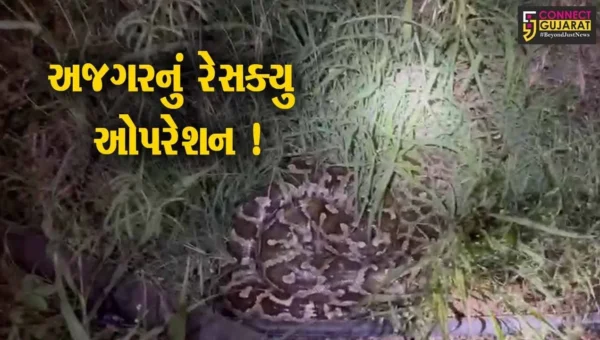 ભાવનગર:મહાકાય અજગરે દેખા દેતા ગ્રામજનોમાં ફફડાટ,વનવિભાગને જાણ કરવામાં આવી