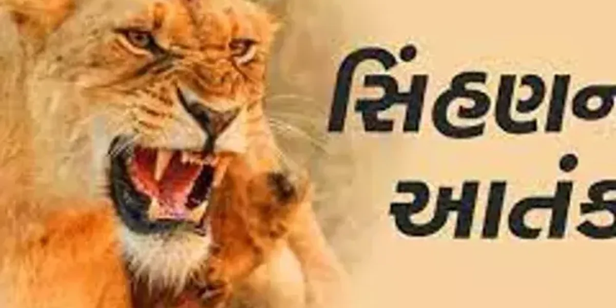 અમરેલી : રાજુલાના વાવેરા ગામે હિંસક બનેલી સિંહણે કર્યો 3 લોકો પર હુમલો, સ્થાનિકોમાં ભયનો માહોલ…