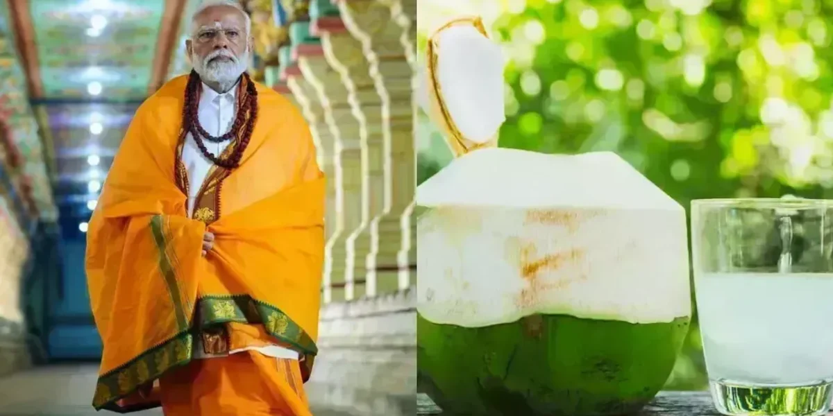 PM મોદી તેમના ઉપવાસ દરમિયાન પી રહ્યા છે માત્ર નારિયેળ પાણી, જાણો આ પીણાના ફાયદા..!