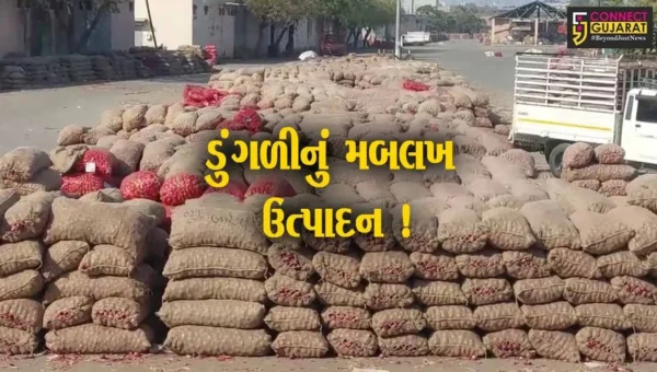 ભાવનગર: માર્કેટિંગ યાર્ડ ખાતે અચોકસ મુદ્દત સુધી ડુંગળી લાવવા પર પ્રતિબંધ,જુઓ શું છે કારણ