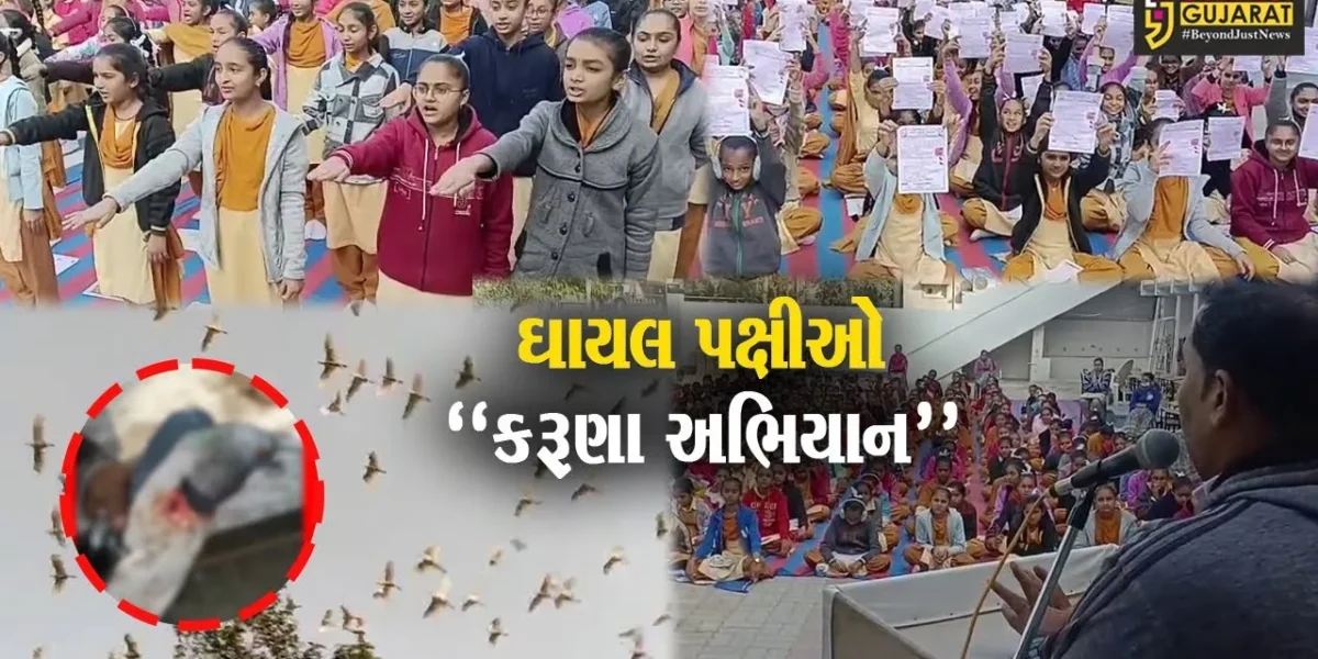 ઉત્તરાયણમાં ઘાયલ પક્ષીઓ માટે વરદાન બનશે “કરૂણા અભિયાન”, રાજ્યભરમાં શરૂ કરાયા સારવાર કેન્દ્ર…