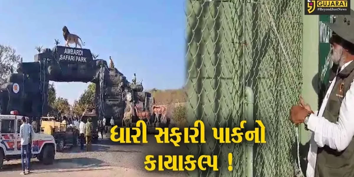 અમરેલી: ધારીના સફારી પાર્કમાં રૂપિયા 21 કરોડના ખર્ચે વિવિધ પ્રકલ્પોનું નિર્માણ,વનમંત્રીના હસ્તે કરાયું લોકાર્પણ
