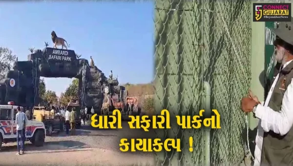 અમરેલી: ધારીના સફારી પાર્કમાં રૂપિયા 21 કરોડના ખર્ચે વિવિધ પ્રકલ્પોનું નિર્માણ,વનમંત્રીના હસ્તે કરાયું લોકાર્પણ
