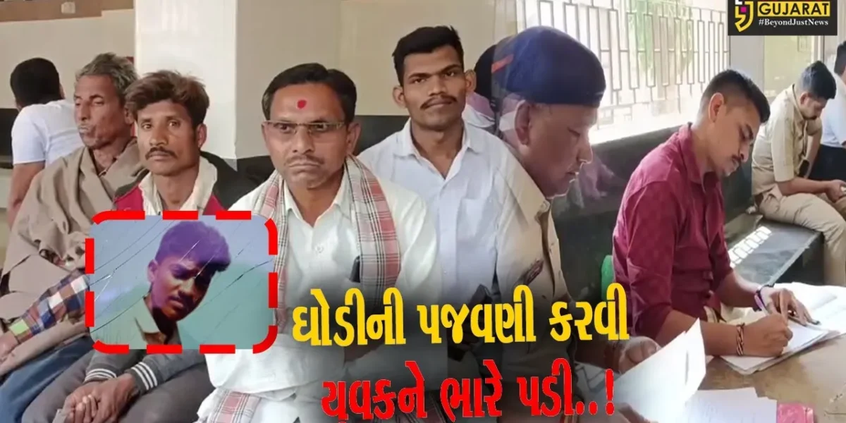 વડોદરા : ડભોઇના કુંઢેલા ચોકડી નજીક ઘોડીએ લાત મારતા યુવકનું ગંભીર ઇજાના પગલે મોત..!