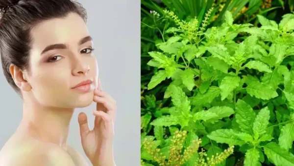 Tulsi For Skin Care: ‘તુલસી’ ત્વચાને લગતી ઘણી સમસ્યાઓથી આપશે રાહત, આ રીતે કરો ઉપયોગ..!