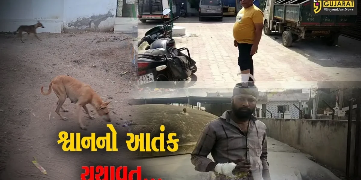 ભરૂચ : આમોદ પંથકમાં શ્વાનનો આતંક યથાવત, નગરજનોમાં ભયનો માહોલ…