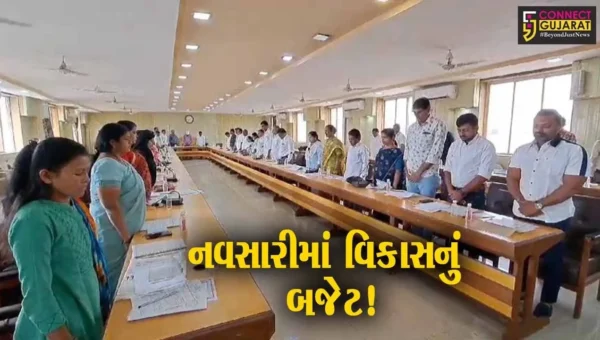 નવસારી: નગર સેવા સદનનું રૂ.486 કરોડનું બજેટ મંજુર, વિકાસના વિવિધ કર્યો કરાશે