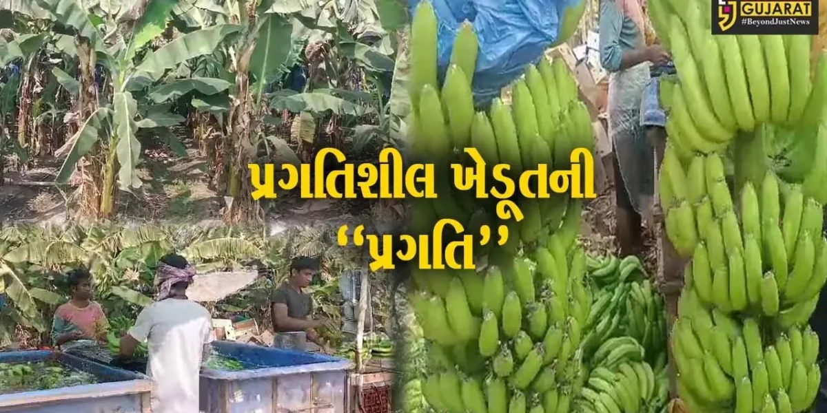 ભરૂચ : ઉમલ્લાના ખેડૂતે ઝઘડીયા તાલુકાને અપાવ્યું ગૌરવ, વિદેશમાં કર્યા કેળાં એક્સપોર્ટ…