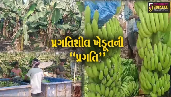 ભરૂચ : ઉમલ્લાના ખેડૂતે ઝઘડીયા તાલુકાને અપાવ્યું ગૌરવ, વિદેશમાં કર્યા કેળાં એક્સપોર્ટ…