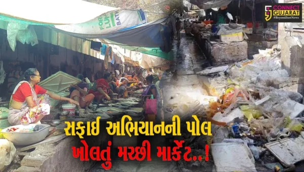 ભરૂચ : પશ્ચિમ વિસ્તારના મચ્છી માર્કેટમાં સાફ-સફાઈનો અભાવ, પાલિકા સામે વેપારીઓમાં રોષ…