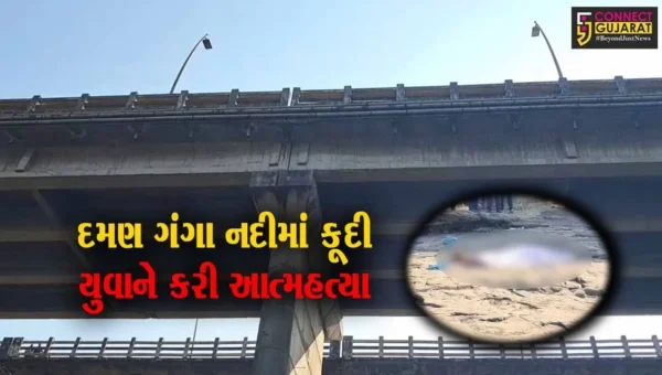 વલસાડ : રખોલી બ્રિજ પરથી યુવકનો મોતનો કૂદકો!