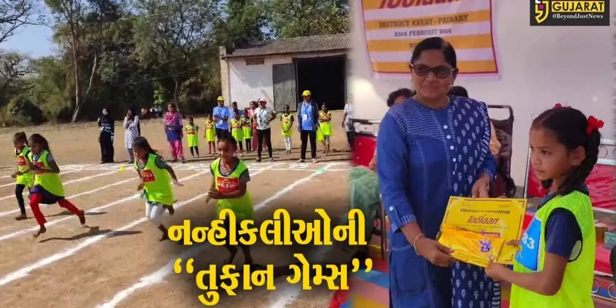 ભરૂચ : નેત્રંગ ખાતે નાંદી ફાઉન્ડેશન દ્વારા જિલ્લા કક્ષાની પ્રાઈમરી “તુફાન ગેમ્સ” યોજાય…