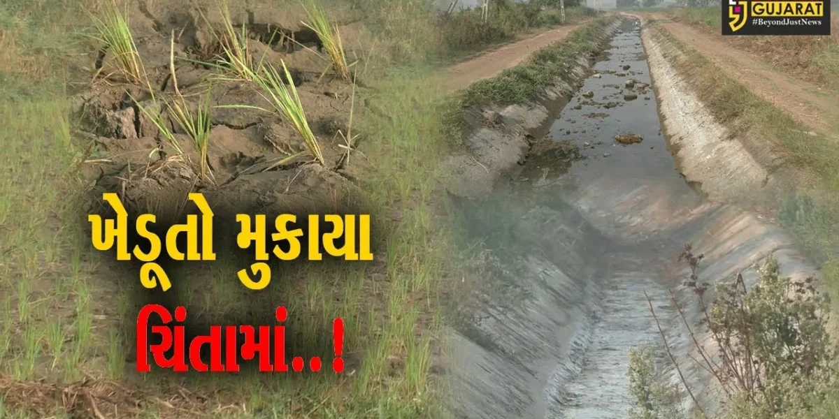 નવસારી : નહેરના પાણી પર આધારિત ડાંગરની ખેતી માટે છેલ્લા 4 દિવસથી પાણી ન મળતા ખેડૂતોમાં ચિંતા…