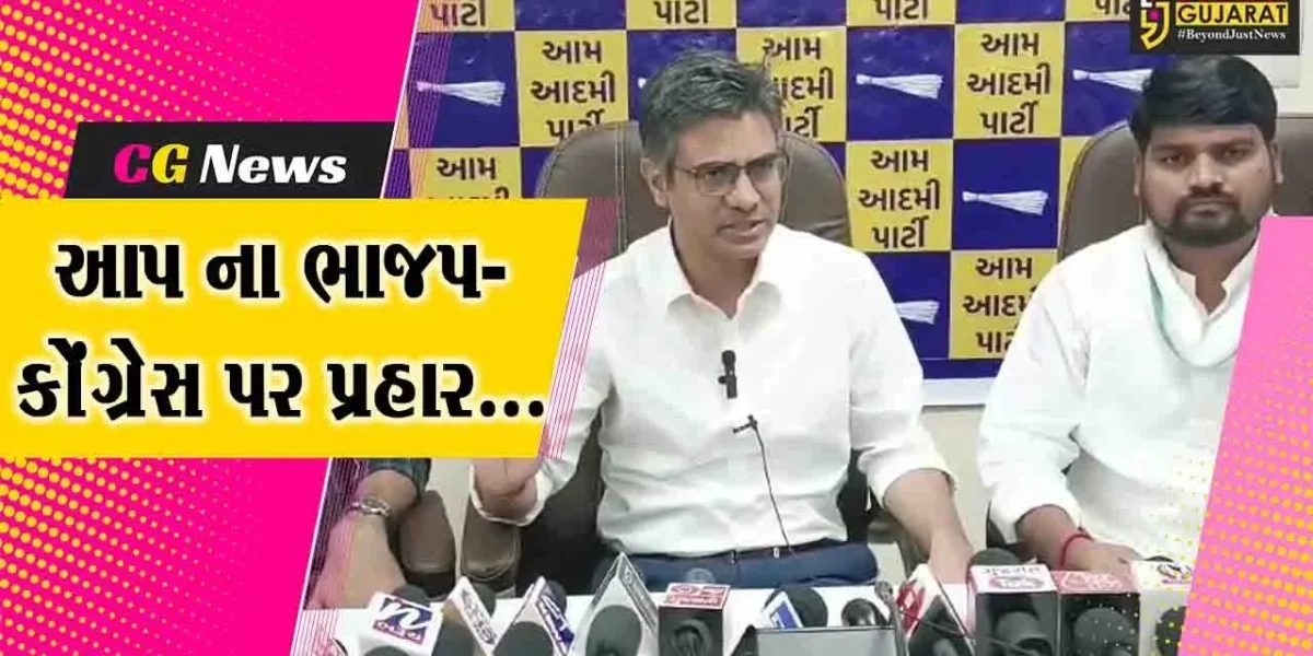 ભરૂચમાં ભાજપના 5 MLA અને 1 સાંસદ હોવા છતાં જિલ્લામાં વિકાસ સદંતર નિષ્ફળ : સંદીપ પાઠક
