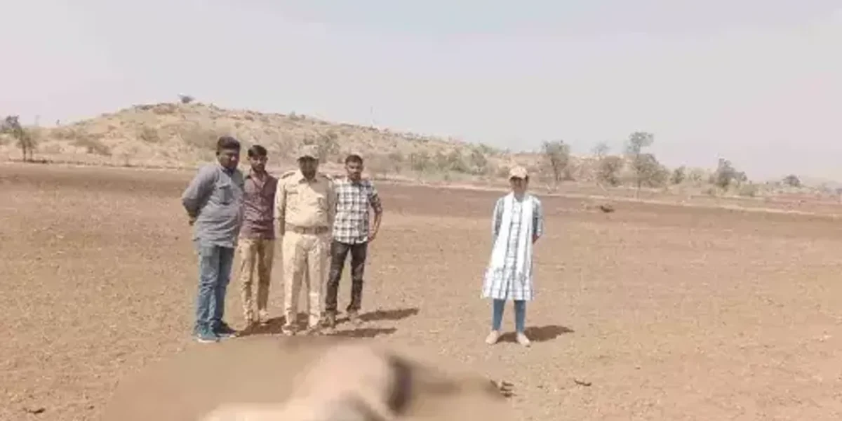અમરેલી : રાયડી ગામે એક સાથે 6 નીલગાયના મોત, ફૂડ પોઇઝનિંગથી મોત થયાનું વન વિભાગનું તારણ