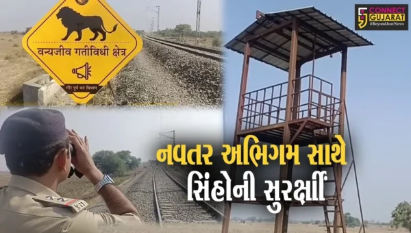 અમરેલી : મહામૂલા સિંહોને બચાવવા નવતર પહેલ, લીલીયા-પીપાવાવ પોર્ટ સુધી રેલ્વે ટ્રેક પર વોચ ટાવરો ઉભા કરાયા…