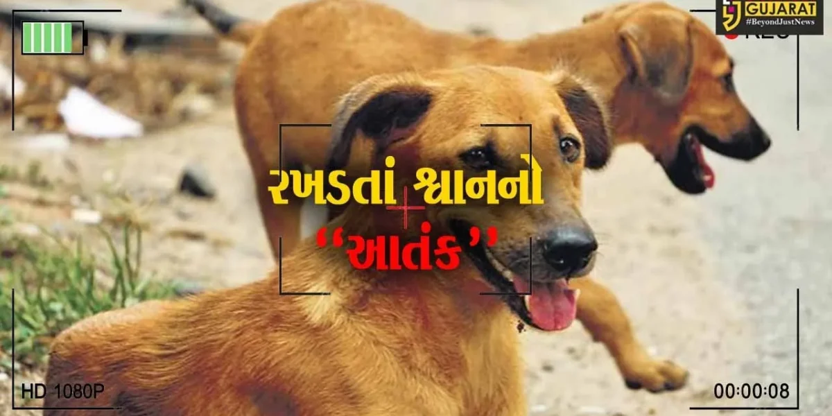 નવસારી : છેલ્લા 2 દિવસમાં ખેરગામના 12 લોકોને રખડતાં શ્વાનોએ બચકાં ભર્યા, સ્થાનિકોમાં ભયનો માહોલ…