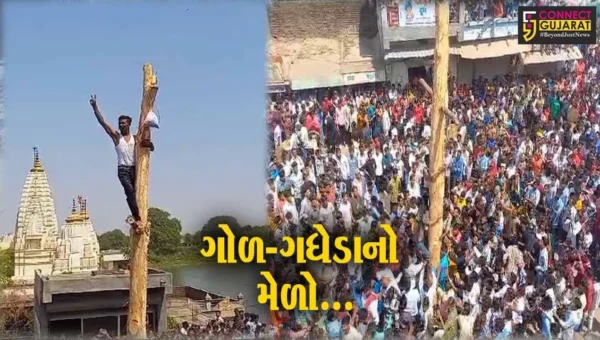 દાહોદમાં ગોળ-ગધેડાનો મેળો : યુવતીઓ દ્વારા સોટીઓના માર વચ્ચે પણ યુવકો ચઢે છે સીમળાના ઝાડનું થડ