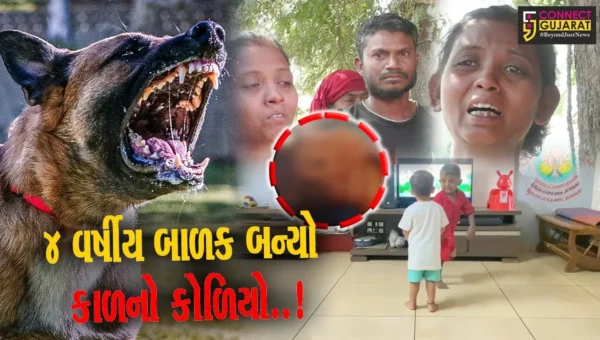 નવસારી : 5 શ્વાનોએ 4 વર્ષીય બાળકને અંતિમ શ્વાસ સુધી બચકા ભરતા મોત, મહુવર ગામે પરિવારમાં આક્રંદ