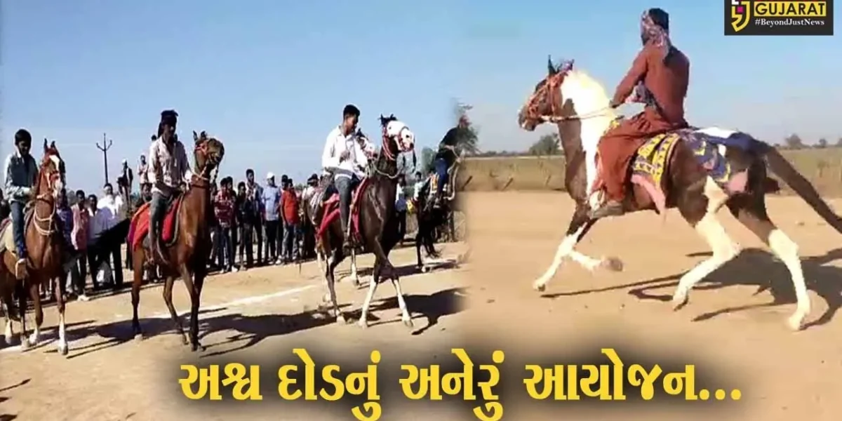 ભરૂચ : આમોદના તણછા ગામે ભરૂચ હોર્સ ગ્રુપ દ્વારા અશ્વ દોડ યોજાય, અશ્વ દોડ નિહાળવા લોકો ઉમટ્યા…