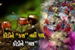 ભાવનગર : ત્રંબક ગામના લોકોનો અનોખો સેવાયજ્ઞ, કીડીઓ માટે 310 મણ કીડીયારું તૈયાર કરાયું…