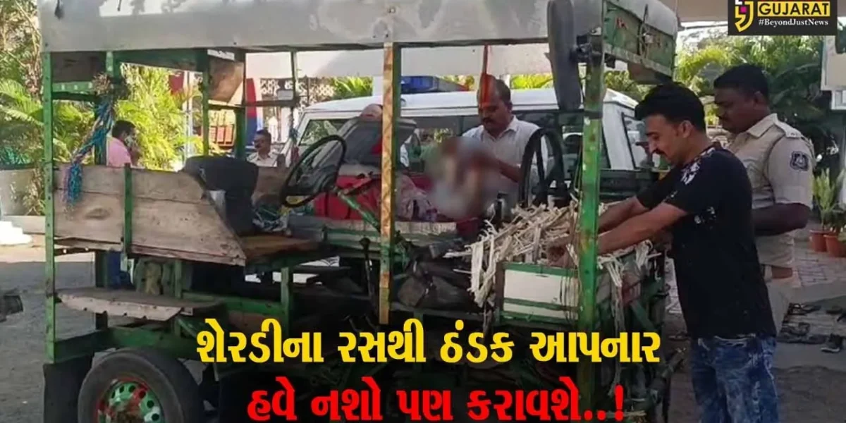બોલો હવે, હાલતા ચાલતા શેરડી-રસના કોલુંવાળા પણ દારૂના ધંધે ચઢ્યા, વલસાડના પારડી પોલીસે કરી શખ્સની ધરપકડ