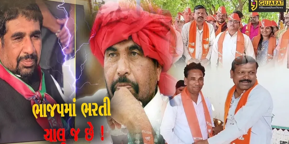 ભરૂચ :લોકસભા ચૂંટણી પૂર્વે નેત્રંગ તાલુકા બી.ટી.પીમાં ગાબડું,50થી વધુ કાર્યકરો ભાજપમાં જોડાયા