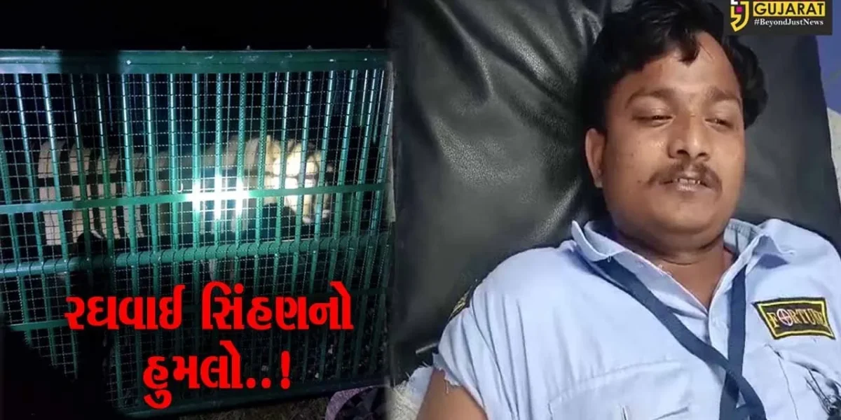અમરેલી : જાફરાબાદના લુણસાપુર ગામે સિક્યુરિટી અને વન વિભાગના 3 કર્મી પર સિંહણનો હુમલો…