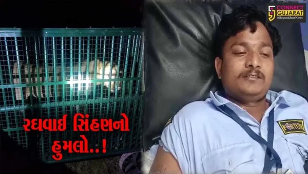 અમરેલી : જાફરાબાદના લુણસાપુર ગામે સિક્યુરિટી અને વન વિભાગના 3 કર્મી પર સિંહણનો હુમલો…