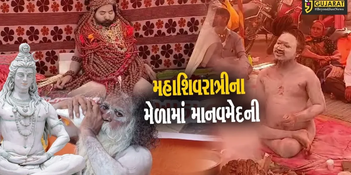 જુનાગઢ : મહાશિવરાત્રી મેળાના બીજા દિવસે ઉમટી માનવમેદની, વિદેશી શ્રદ્ધાળુઓ પણ આવ્યા મેળો મહાલવા