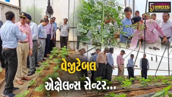 ગુજરાતનું સૌથી મોટું સાબરકાંઠા-વદરાડનું વેજીટેબલ એક્ષેલન્સ સેન્ટર, 5 દેશના અધિકારીઓએ લીધી મુલાકાત.