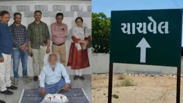 ભરૂચ:વાગરાના ચાંચવેલ ગામેથી ગાંજાના જથ્થા સાથે એક આરોપીની પોલીસે કરી ધરપકડ