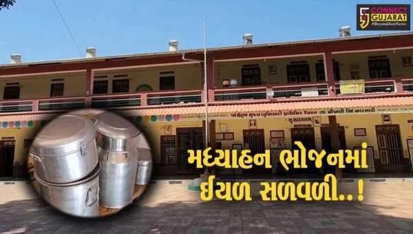 નવસારી : વાંઝણા પ્રાથમિક શાળામાં બાળકોના મધ્યાહન ભોજનમાં ઈયળ નીકળી, શિક્ષણ વિભાગ હરકતમાં આવ્યું…