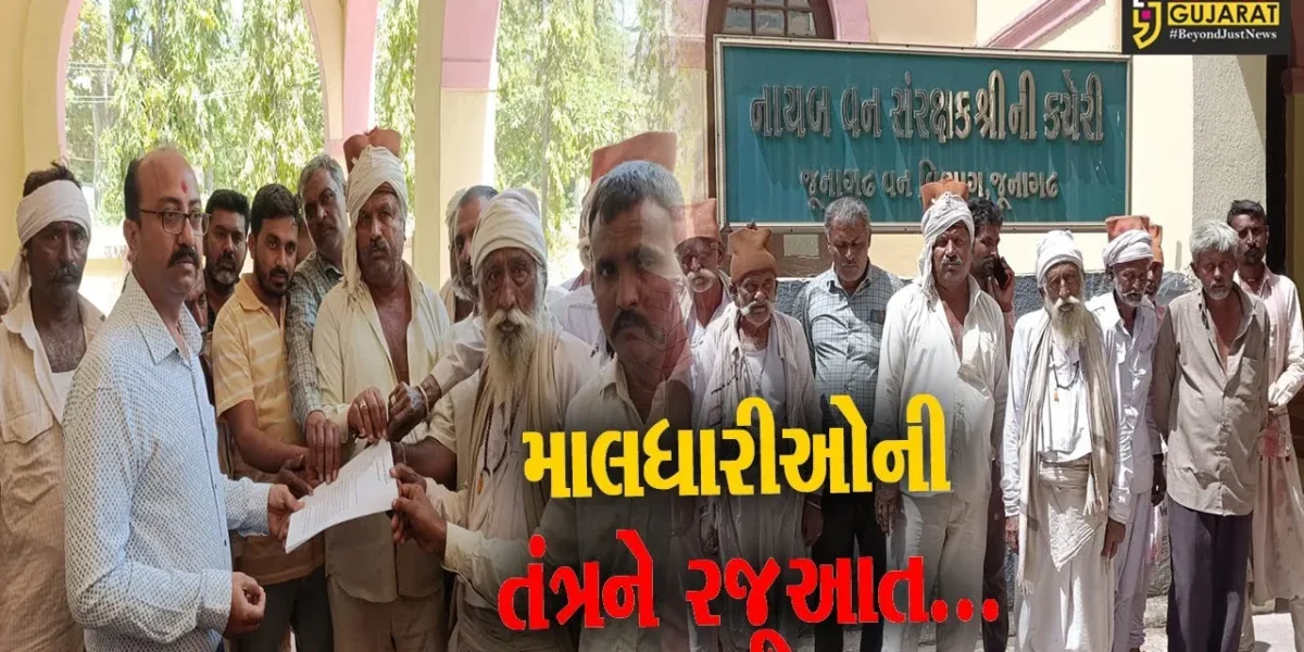 ગીર પંથક : વન વિભાગની કનડગતથી ત્રસ્ત માલધારીઓ, જુનાગઢ વન વિભાગની કચેરીએ આપ્યું આવેદન