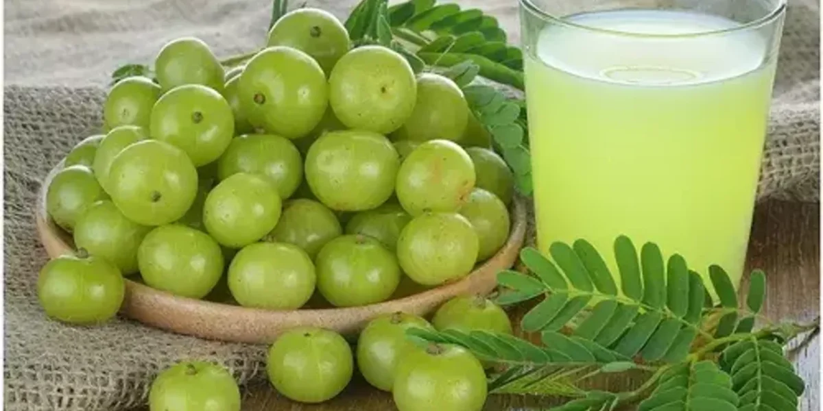 આમળા ડાયાબિટીસને કંટ્રોલ કરવામાં ખૂબ મદદરૂપ છે, આ રીતે તેને તમારા આહારમાં સામેલ કરો.
