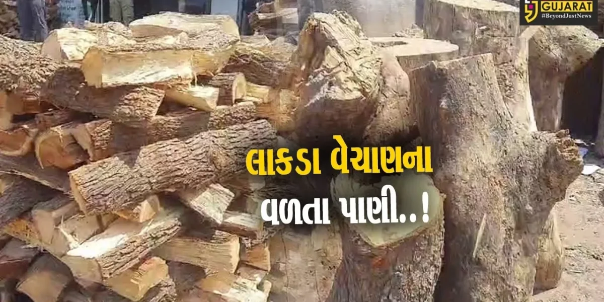 ભરૂચ : વૈદિક હોળીનો માહોલ જામતા લાકડાના વેચાણમાં ઘટાડો, પર્યાવરણ પ્રત્યે લોકોમાં જાગૃતિ એક આવકારદાયક પગલું…