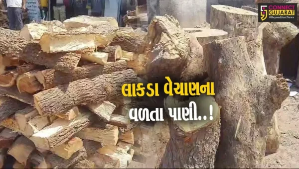 ભરૂચ : વૈદિક હોળીનો માહોલ જામતા લાકડાના વેચાણમાં ઘટાડો, પર્યાવરણ પ્રત્યે લોકોમાં જાગૃતિ એક આવકારદાયક પગલું…