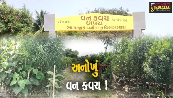 અંકલેશ્વર: જુના છાપરા ગામે અનોખું વનકવચ ઉભુ કરાયુ,જાપાની ટેકનોલોજીની લેવાય મદદ