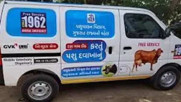 રાજ્યમાં વધુ નવા 17 મોબાઈલ વેટરીનરી યુનિટ થશે કાર્યરત, હાલમાં 110 યુનિટ કાર્યરત
