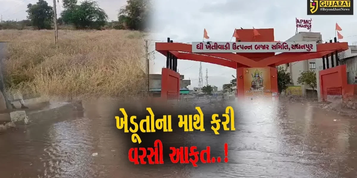 પાટણ-કચ્છ સહિતના જિલ્લાઓમાં વરસ્યો કમોસમી વરસાદ, ખેડૂતો-વેપારીઓને નુકશાનની ભીતિ..!