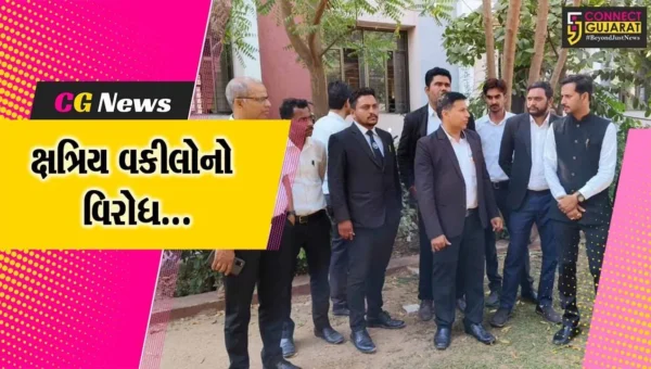 વિવાદાસ્પદ નિવેદનમાં બદનક્ષીનો દાવો..! રૂપાલાને નામદાર કોર્ટ સુધી લાવવાની વડોદરાના ક્ષત્રિય વકીલોની ચીમકી…