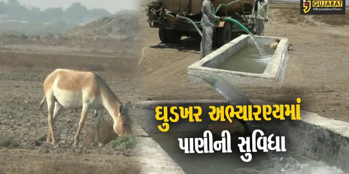 સુરેન્દ્રનગર : કાળઝાળ ગરમીમાં ઘુડખર અભ્યારણ્યમાં પશુ-પક્ષીઓ માટે પાણીની સુવિધા પુરી પાડતું તંત્ર…