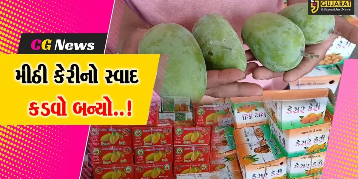 જુનાગઢ : માર્કેટિંગ યાર્ડમાં ફળોના રાજા કેરીની નહિવત આવક સામે વેપારીઓમાં નિરાશા..!
