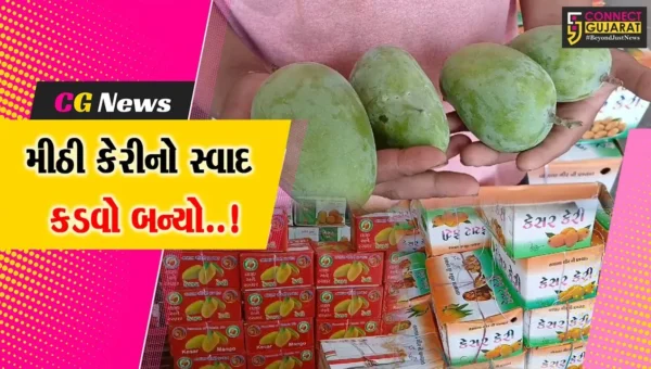 જુનાગઢ : માર્કેટિંગ યાર્ડમાં ફળોના રાજા કેરીની નહિવત આવક સામે વેપારીઓમાં નિરાશા..!