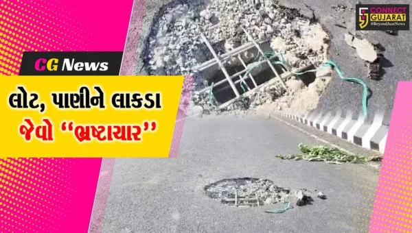 અમરેલી : માંડરડી નજીક ધાતરવડી નદી પર બનેલા નવા પુલમાં ગાબડું, તંત્રએ નવો પુલ બંધ કરી જુનો પુલ શરૂ કર્યો…